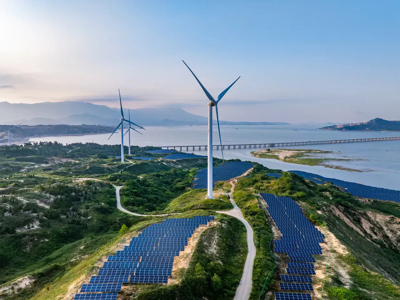 Bluth Solar: Powering a Sustainable Future